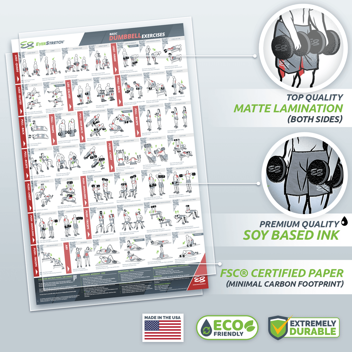 Exercise Poster For Dumbbell Training - Includes Instructions For Bodybuilding Home Gym Chart Laminated With Plastic Frame 18 X 24