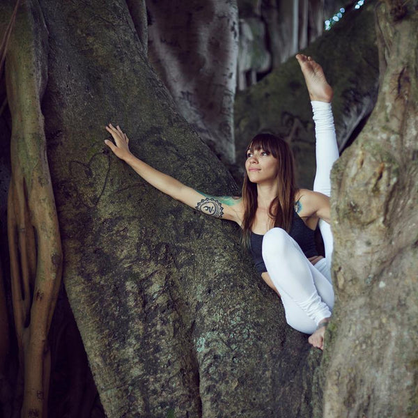 SUE ANN FERROGARI'S JOURNEY