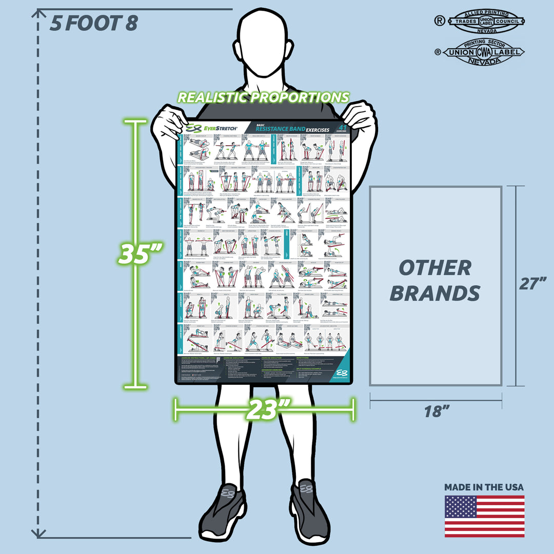 Basic Resistance Band Exercise Poster - 23" x 35" Laminated Exercise Instruction Poster by EverStretch