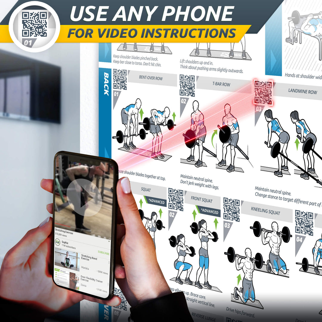 Basic Barbell Exercise Poster - 23" x 35" Laminated Exercise Instruction Poster by EverStretch
