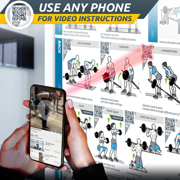 Basic Barbell Exercise Poster - 23" x 35" Laminated Exercise Instruction Poster by EverStretch