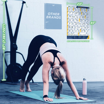 Basic BodyWeight Exercise Poster - 23" x 35" Laminated Exercise Instruction Poster by EverStretch