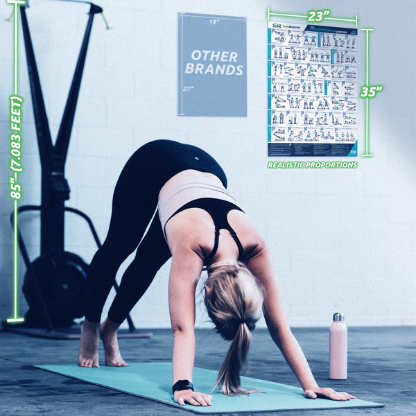 Basic Resistance Band Exercise Poster - 23" x 35" Laminated Exercise Instruction Poster by EverStretch