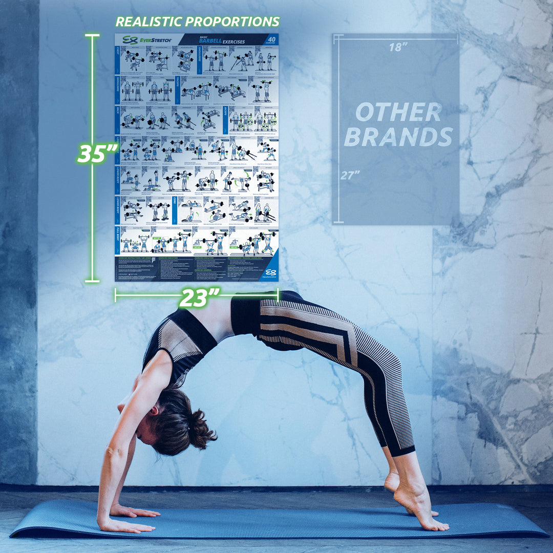 Basic Barbell Exercise Poster - 23" x 35" Laminated Exercise Instruction Poster by EverStretch