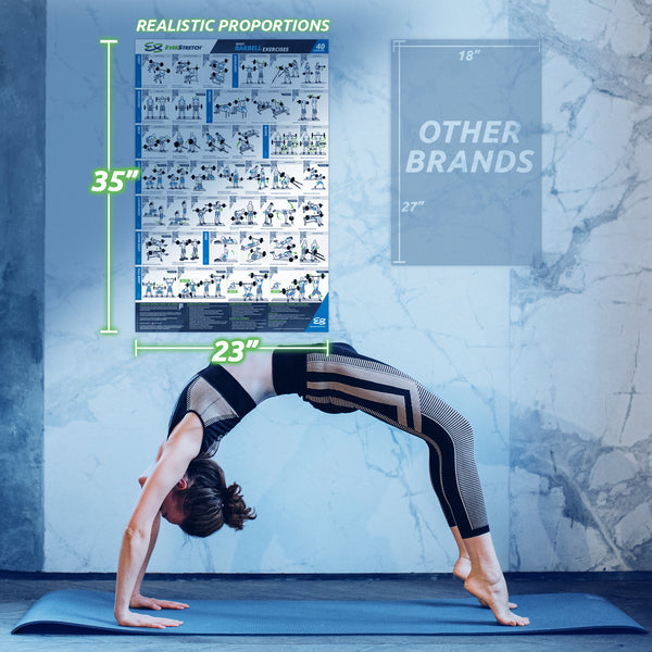 Basic Barbell Exercise Poster - 23" x 35" Laminated Exercise Instruction Poster by EverStretch