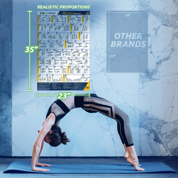 Basic BodyWeight Exercise Poster - 23" x 35" Laminated Exercise Instruction Poster by EverStretch