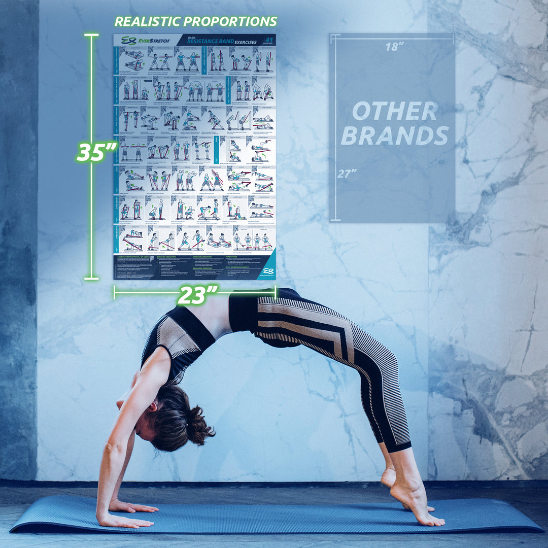 Basic Resistance Band Exercise Poster - 23" x 35" Laminated Exercise Instruction Poster by EverStretch
