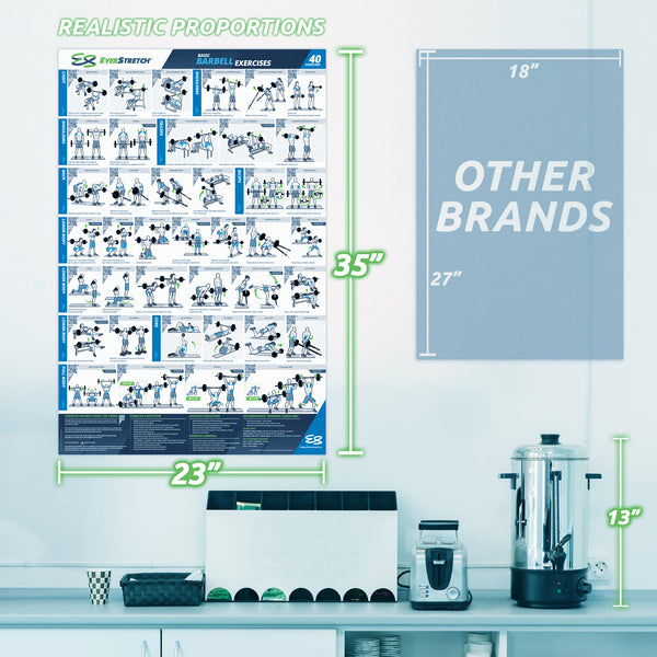 Basic Barbell Exercise Poster - 23" x 35" Laminated Exercise Instruction Poster by EverStretch