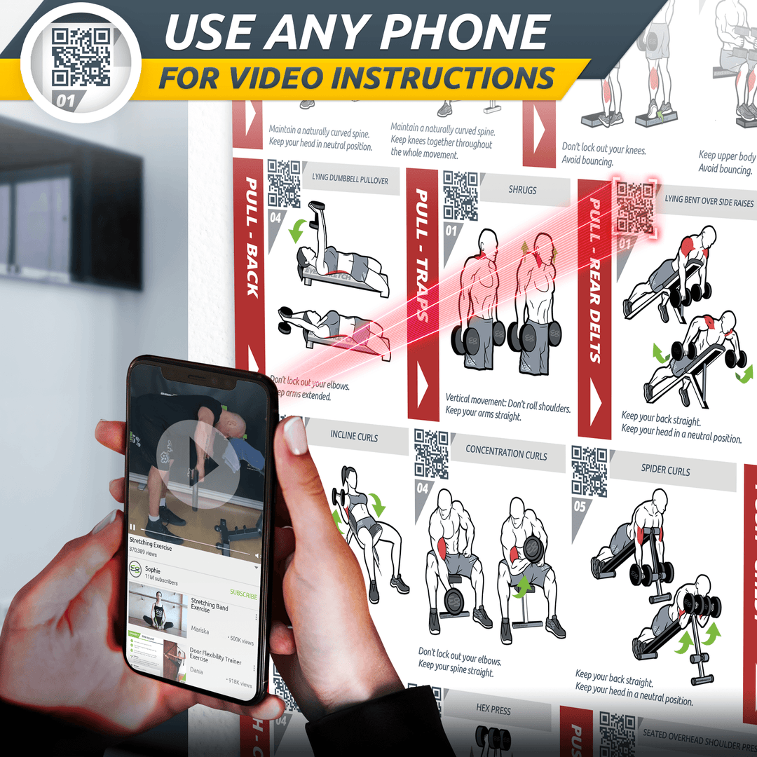 Basic Dumbbell Exercise Poster - 23" x 35" Laminated Exercise Instruction Poster by EverStretch