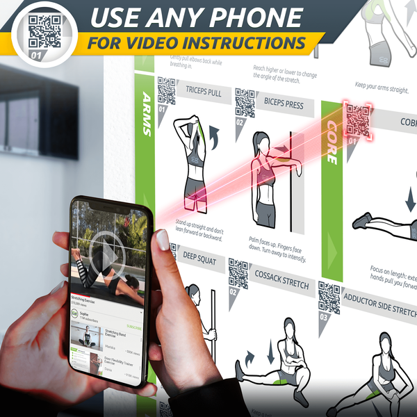 Basic Stretching Poster - 24" x 36" Laminated Exercise Instruction Poster - EverStretch