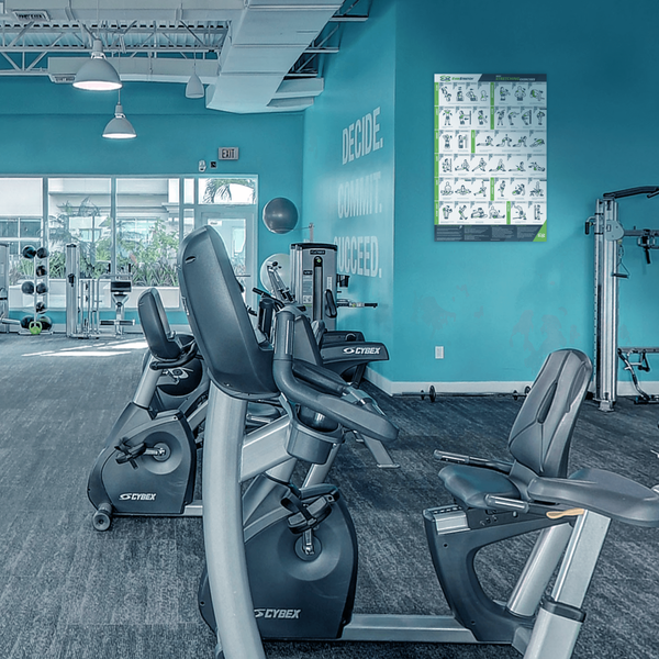 Basic Stretching Poster - 24" x 36" Laminated Exercise Instruction Poster - EverStretch