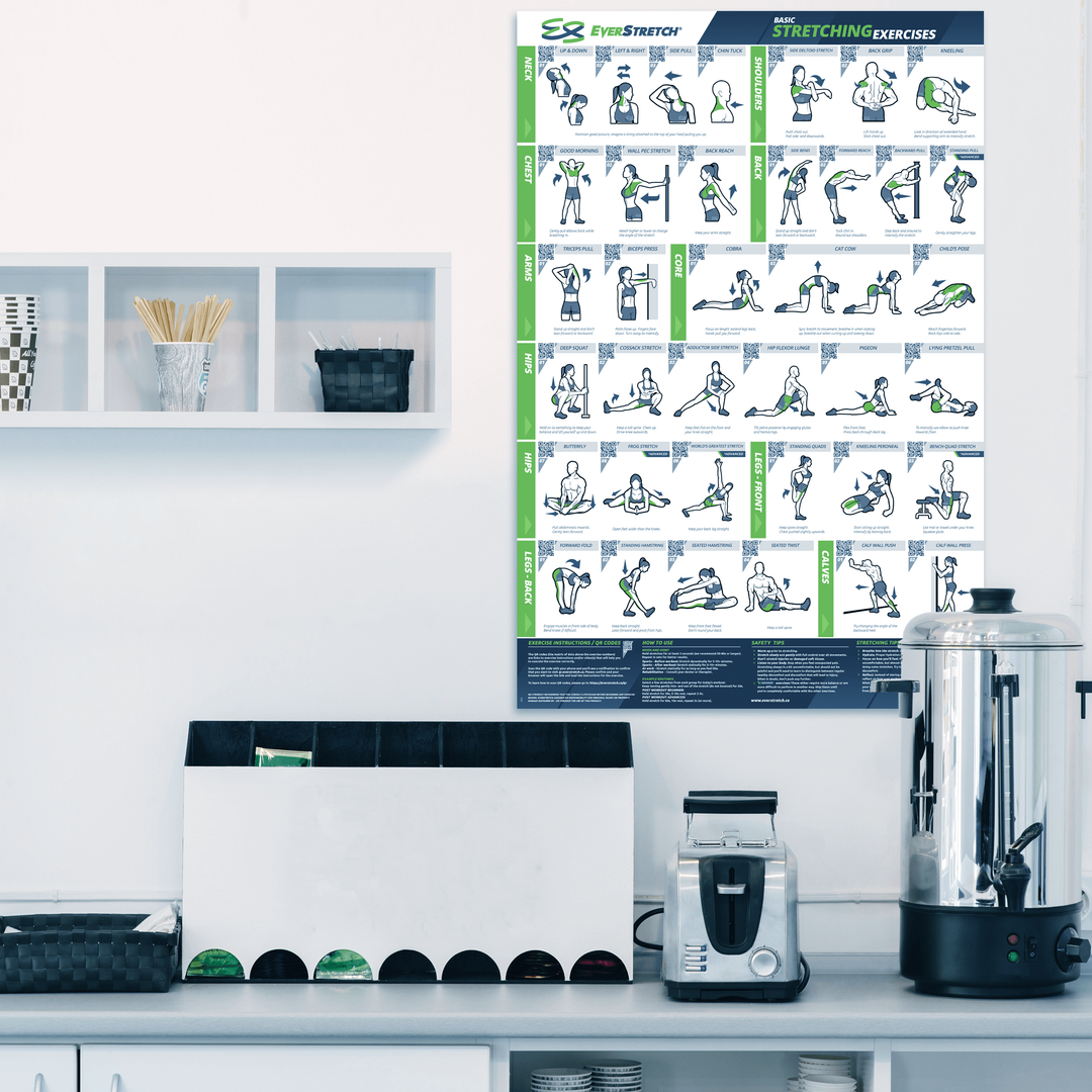 Basic Stretching Poster - 24" x 36" Laminated Exercise Instruction Poster - EverStretch