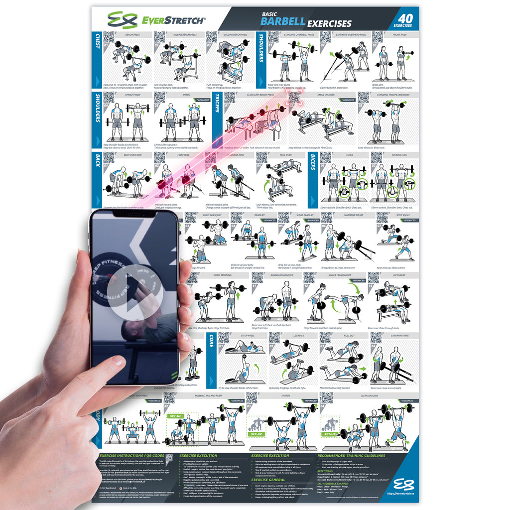Basic Barbell Exercise Poster - 23" x 35" Laminated Exercise Instruction Poster by EverStretch