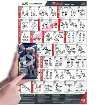 Exercise Posters – EverStretch