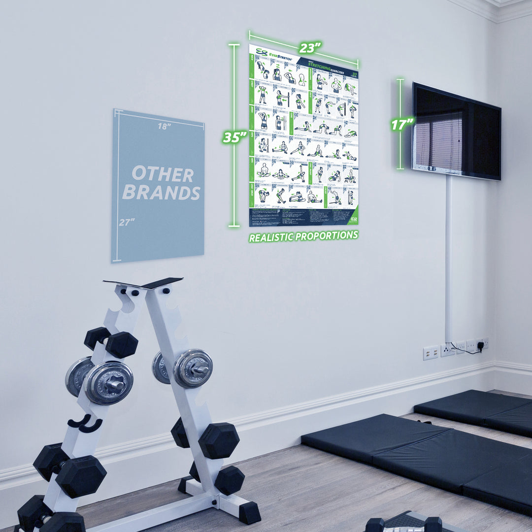 Basic Stretching Poster - 23" x 35" Laminated Exercise Instruction Poster by EverStretch