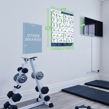 Basic Stretching Poster - 23" x 35" Laminated Exercise Instruction Poster by EverStretch