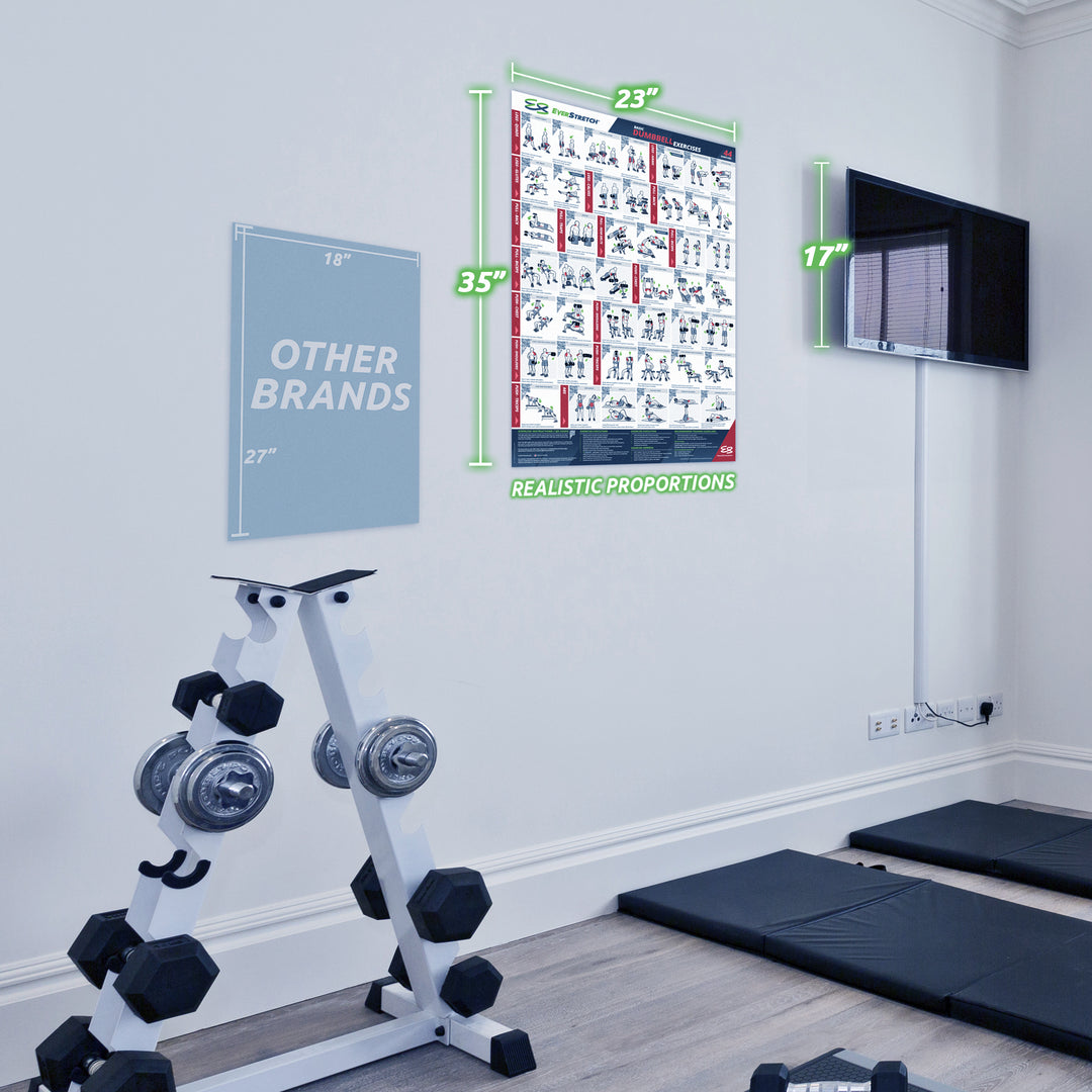 Basic Dumbbell Exercise Poster - 23" x 35" Laminated Exercise Instruction Poster by EverStretch