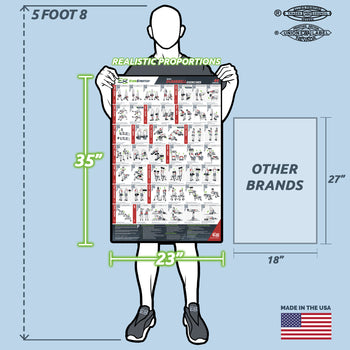 Basic Dumbbell Exercise Poster - 23" x 35" Laminated Exercise Instruction Poster by EverStretch